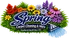 Spring Carpet Cleaning